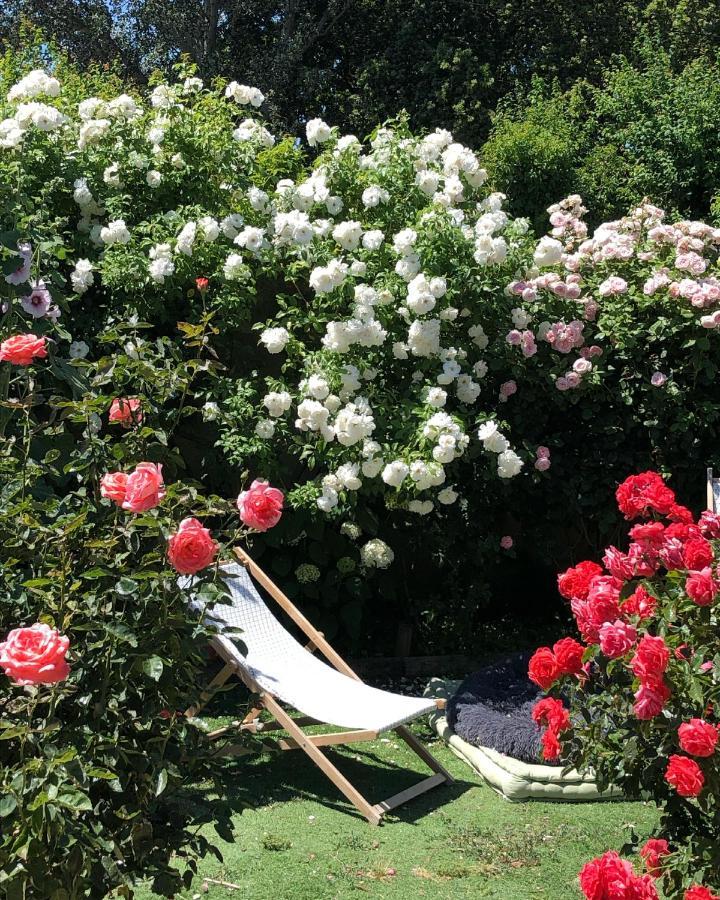 Lulu En Provence Bed and Breakfast LʼIsle-sur-la-Sorgue Exteriör bild